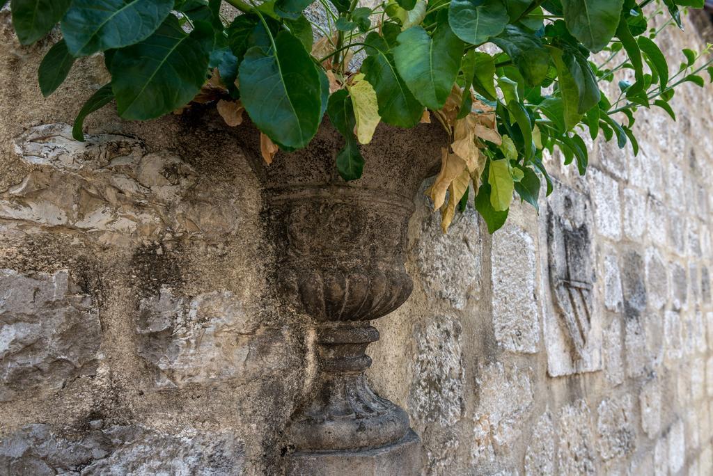 Guest House Forza Lux Kotor Dış mekan fotoğraf